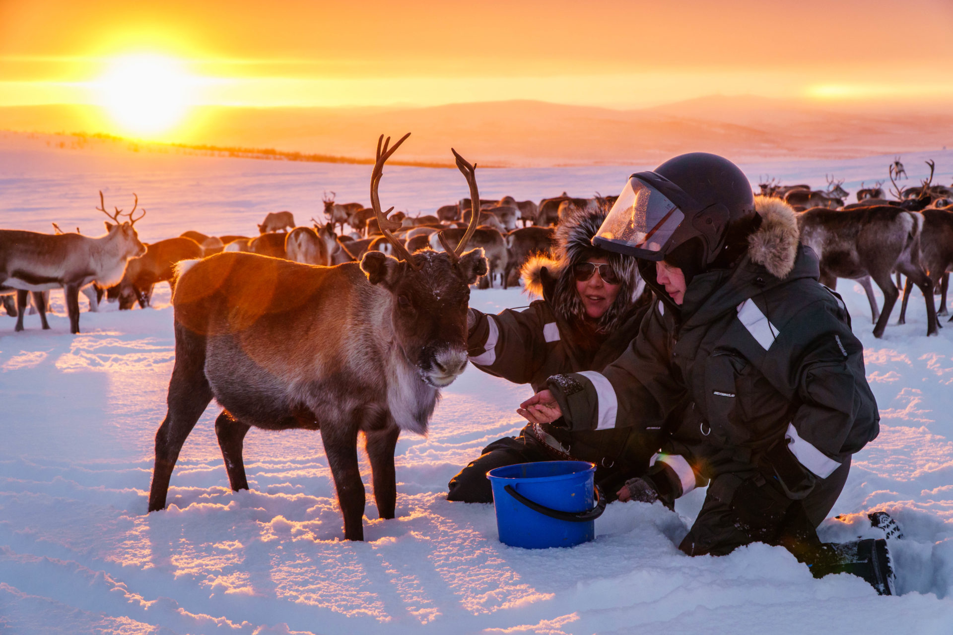 Unique experiences under the arctic sky - Arctic Land Adventure