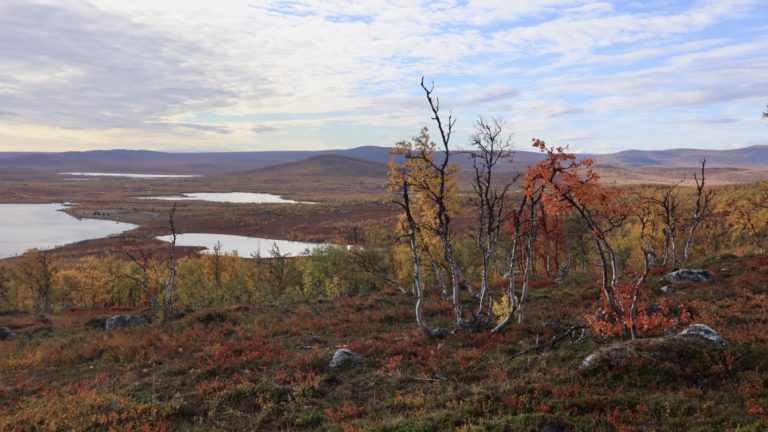 Arctic Land Adventure peerajärvi syksyllä