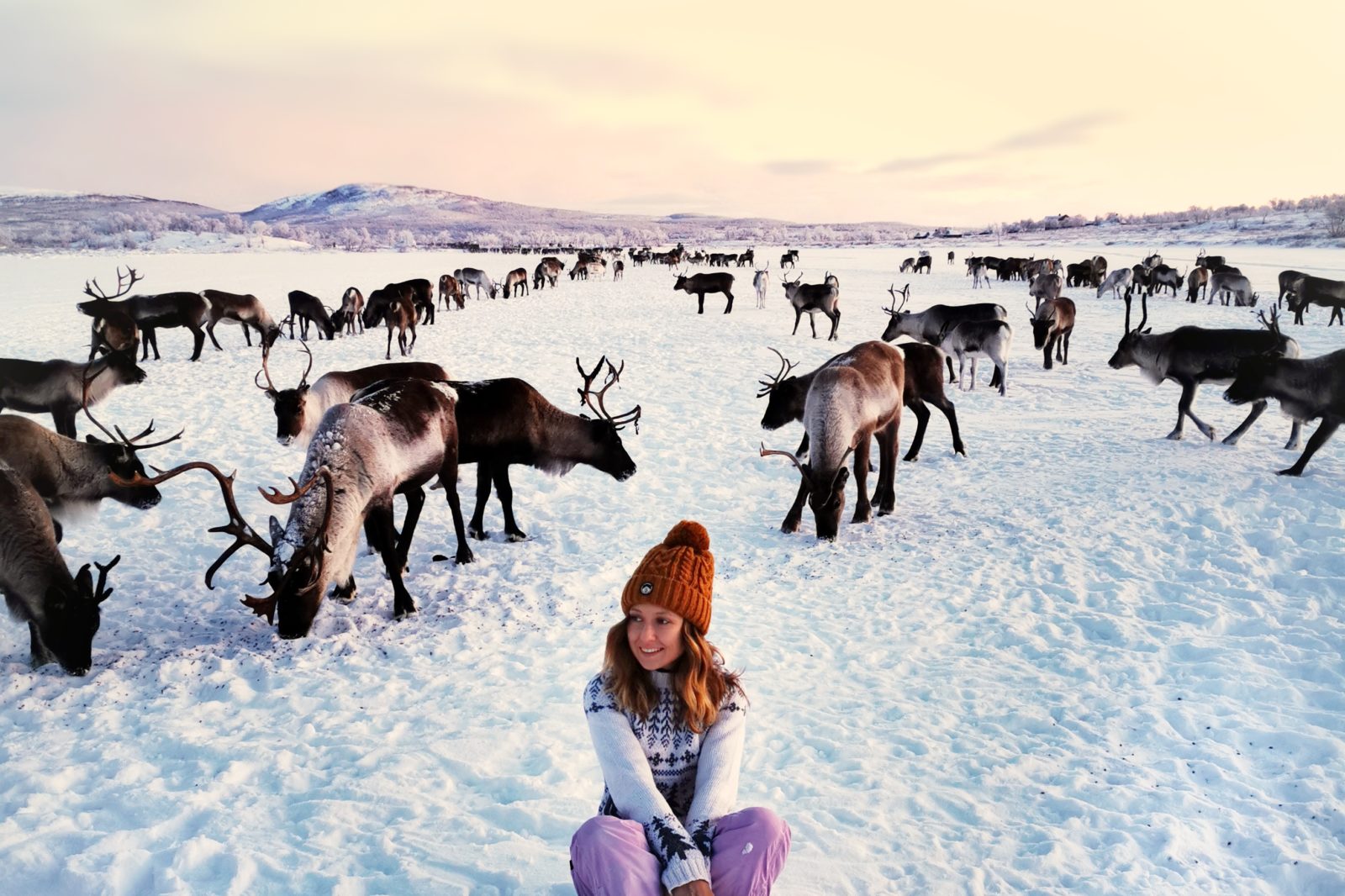 Reindeer ranch visit