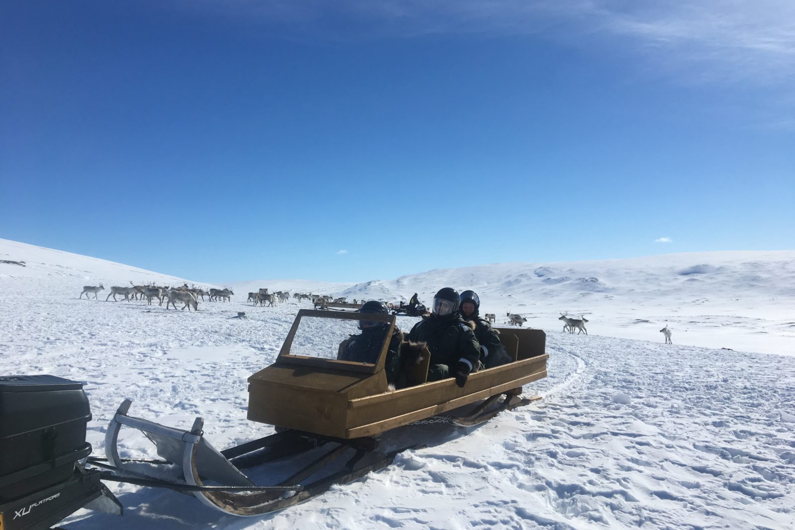 Arctic Land Adventure people sitting in a sledge in winter