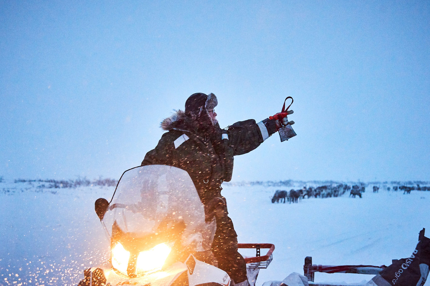 Arctic Land Adventure porot tunturissa poroisäntä