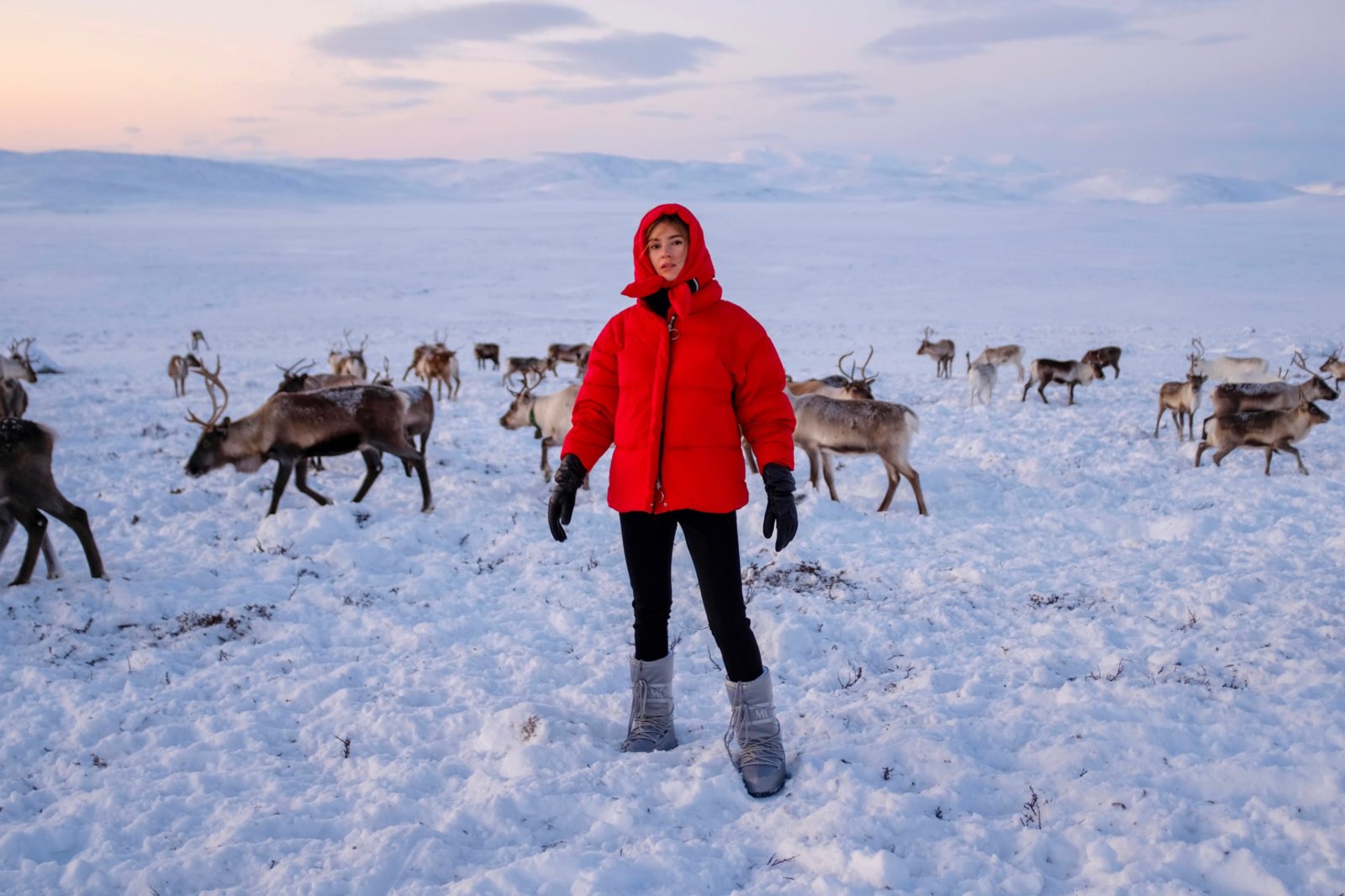 Arctic Land Adventure Luisaviaroma