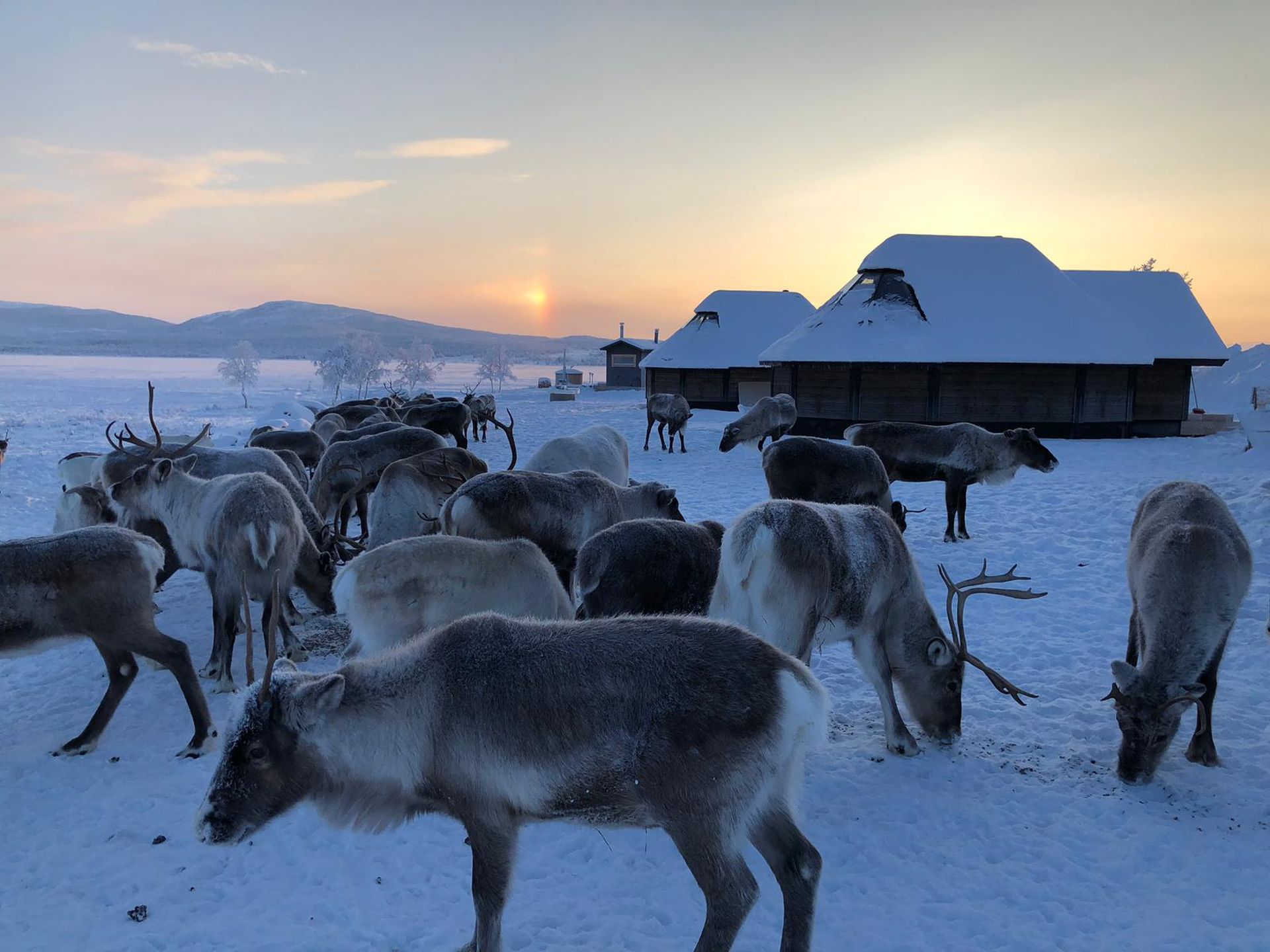 Work with us - Arctic Land Adventure